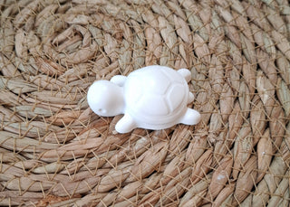 Silikonform Schildkröte