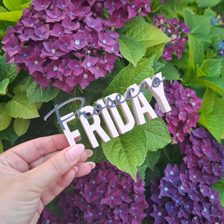 3D Druck Rohling "Prosecco Friday"