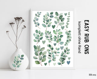 Rub On Sticker Eukalyptus